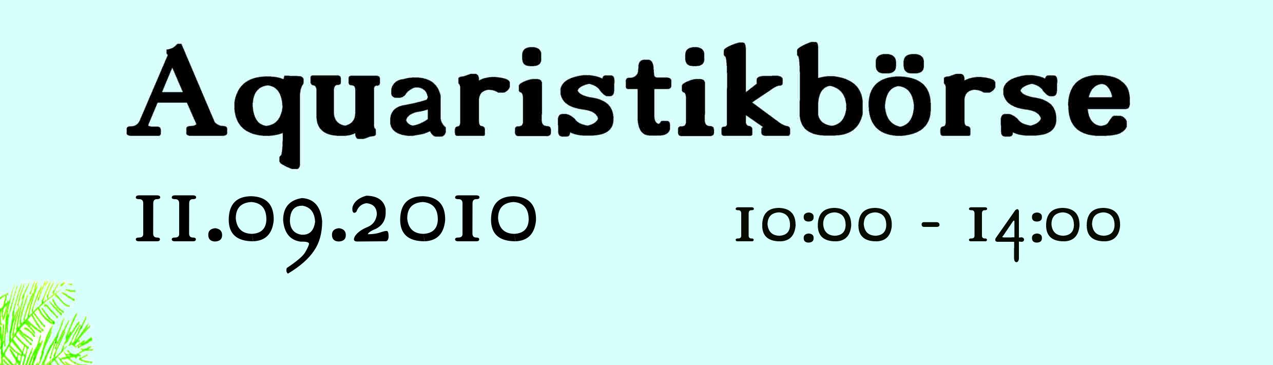 Bild Oben