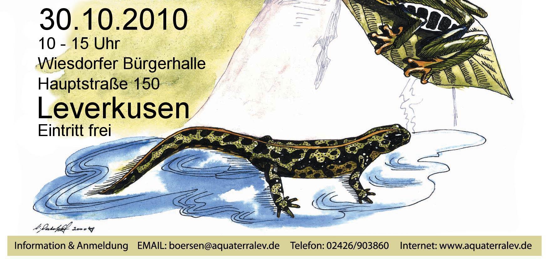 Bild Unten